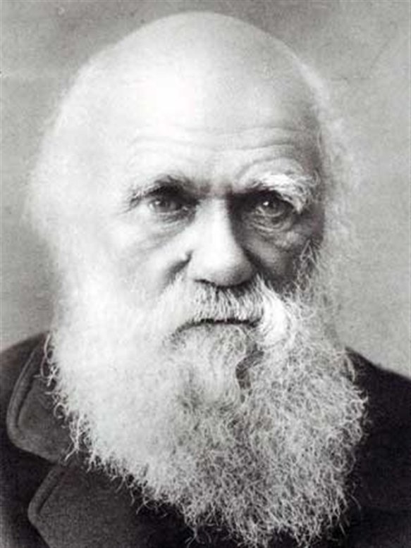 Biografia De Charles Darwin Y Sus Aportes | Webscolar